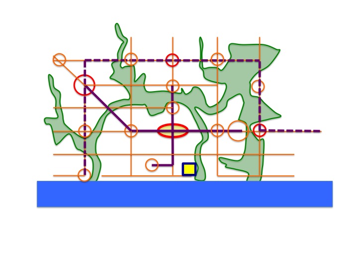 Santo Domingo Metropolitan Metro-Matrix structure